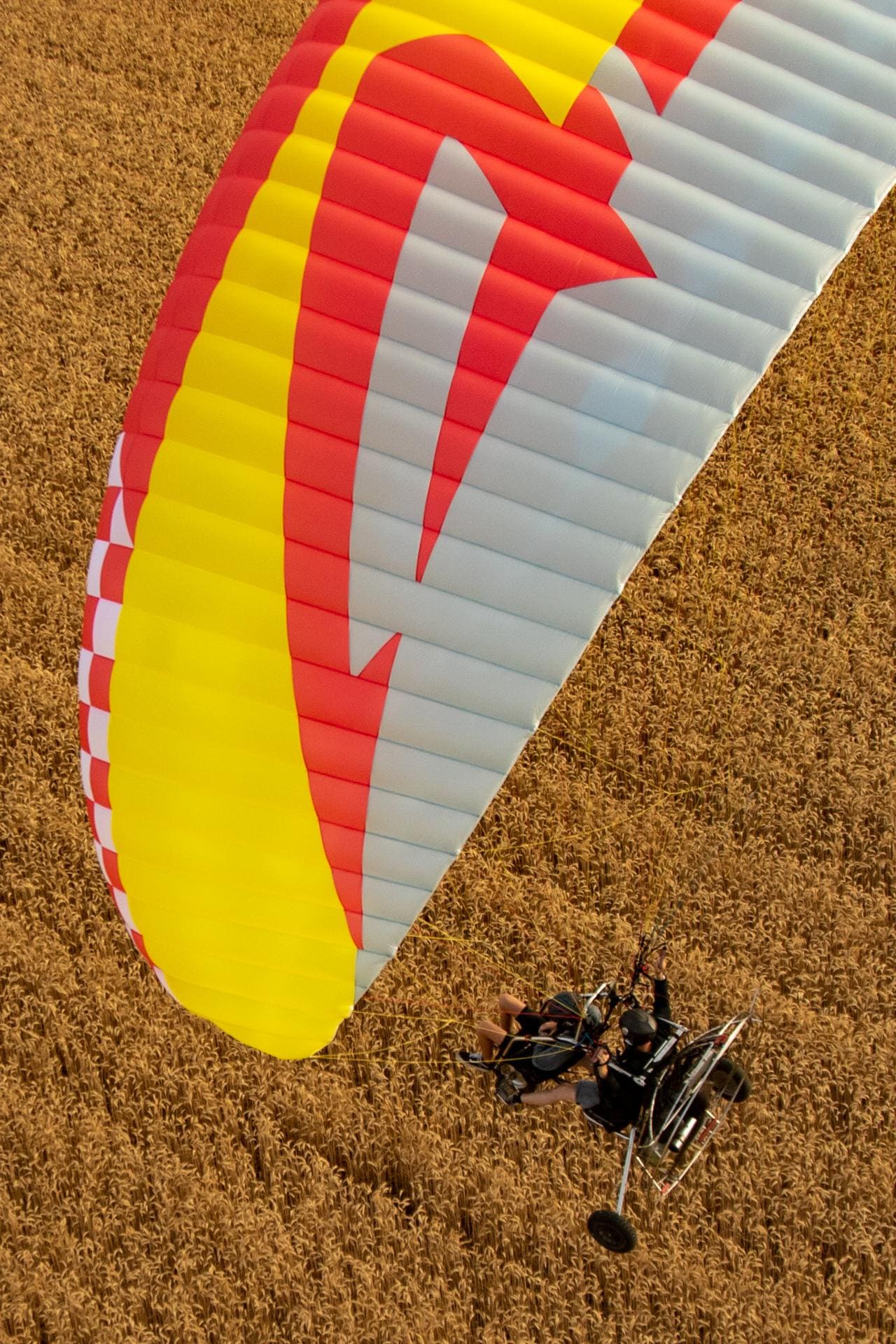 F3 Bi new paramotor glider