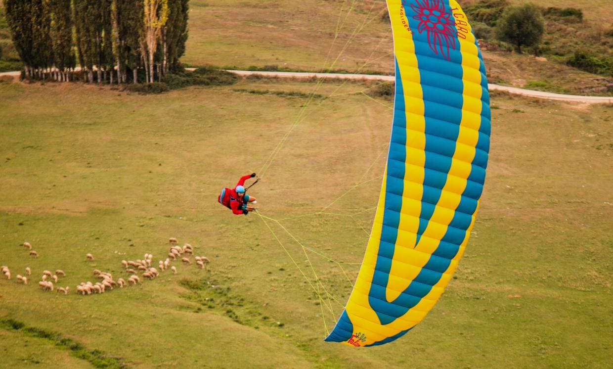 New paraglider Icaro Falco for sale