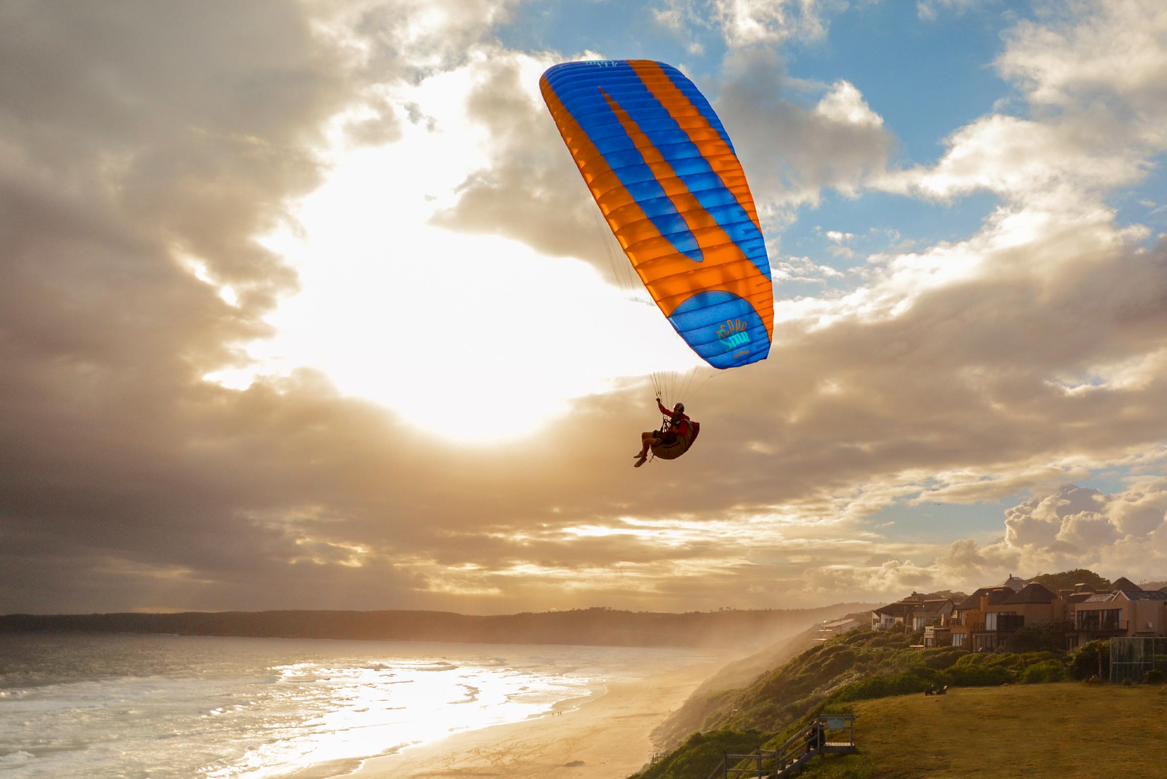 New paraglider Icaro Sitta for sale