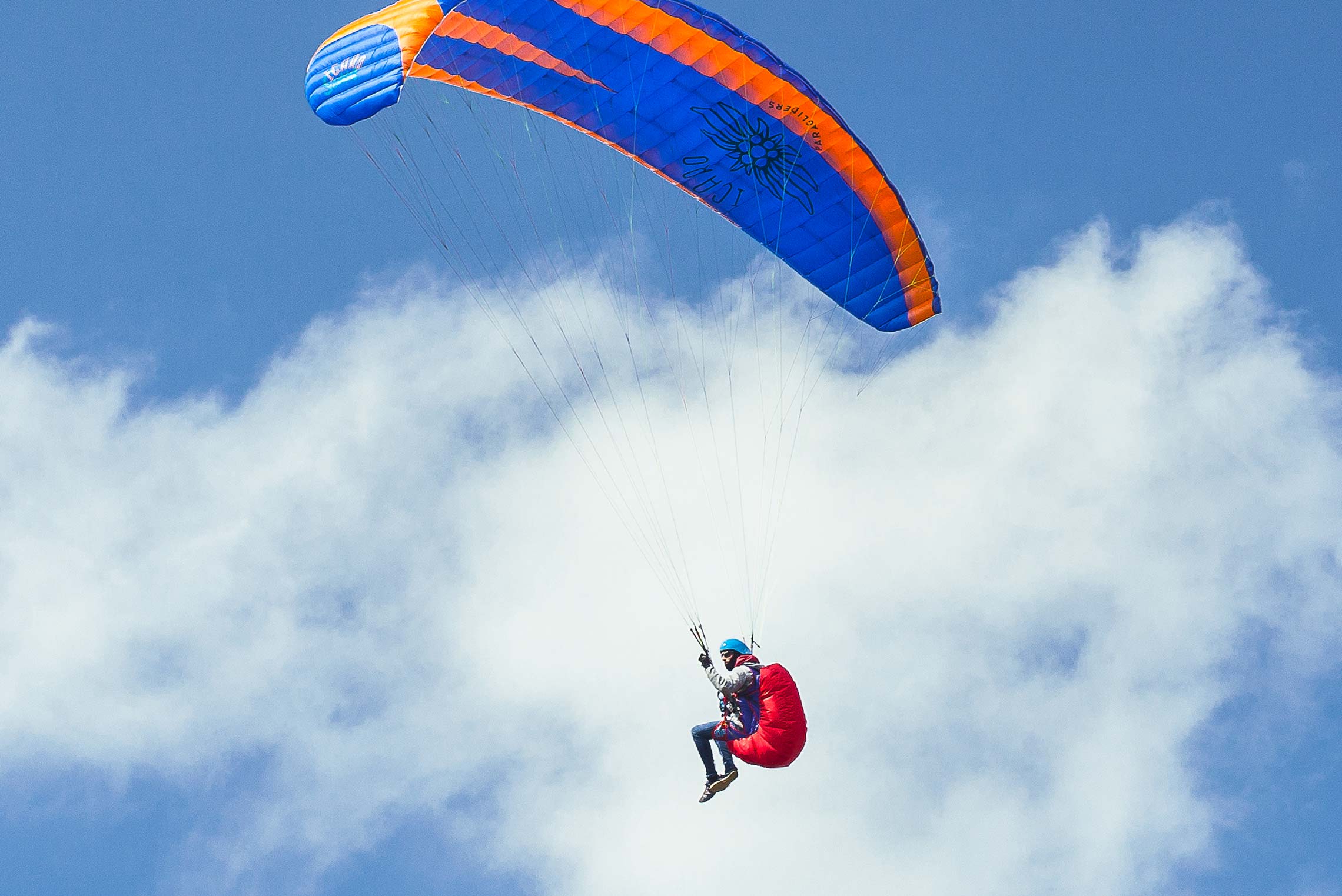 New paraglider Icaro Sitta for sale