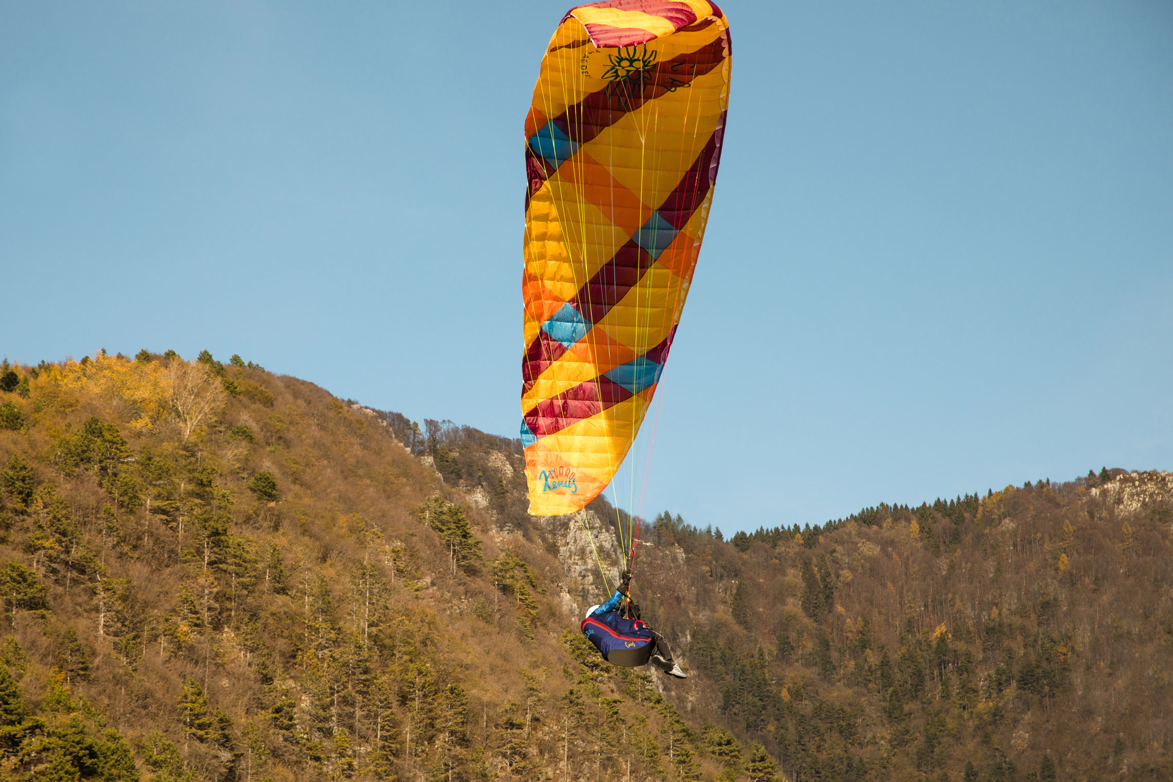 icaro_bassano1117_xenus_W8A0440_web_180401 image icaro bassano1117 xenus W8A0440 web 180401