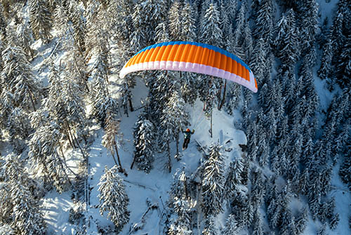 Paraglider Prion 5 for sale