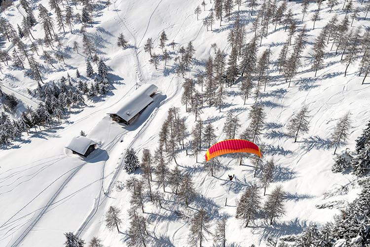 New paraglider Nova Prion 5 for sale