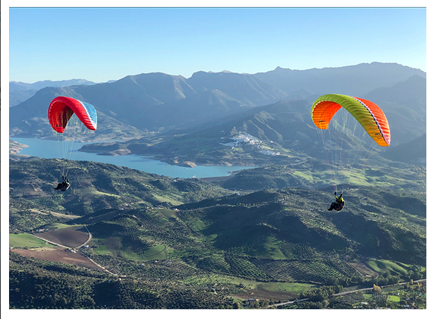 Screenshot_2022-01-22_at_12-00-49_Rimo_-_UP_International image Screenshot 2022 01 22 at 12 00 49 Rimo UP International