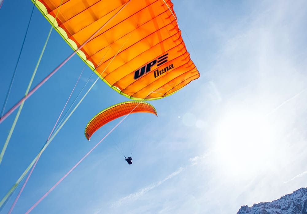 Dena New paragliding wing UP Dena for sale