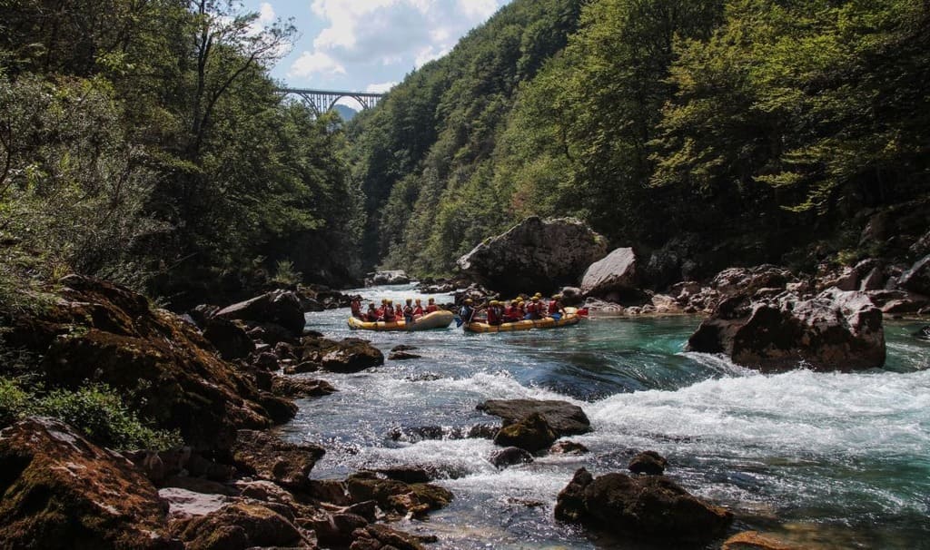 Рафтинг на реке Тара в Черногории