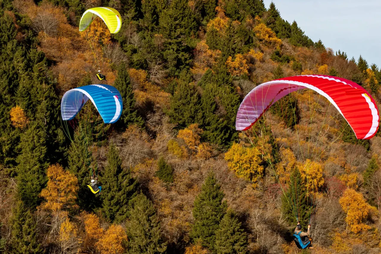 Eazy 4 Paraglider: Beginner Friendly with Progression Focus  