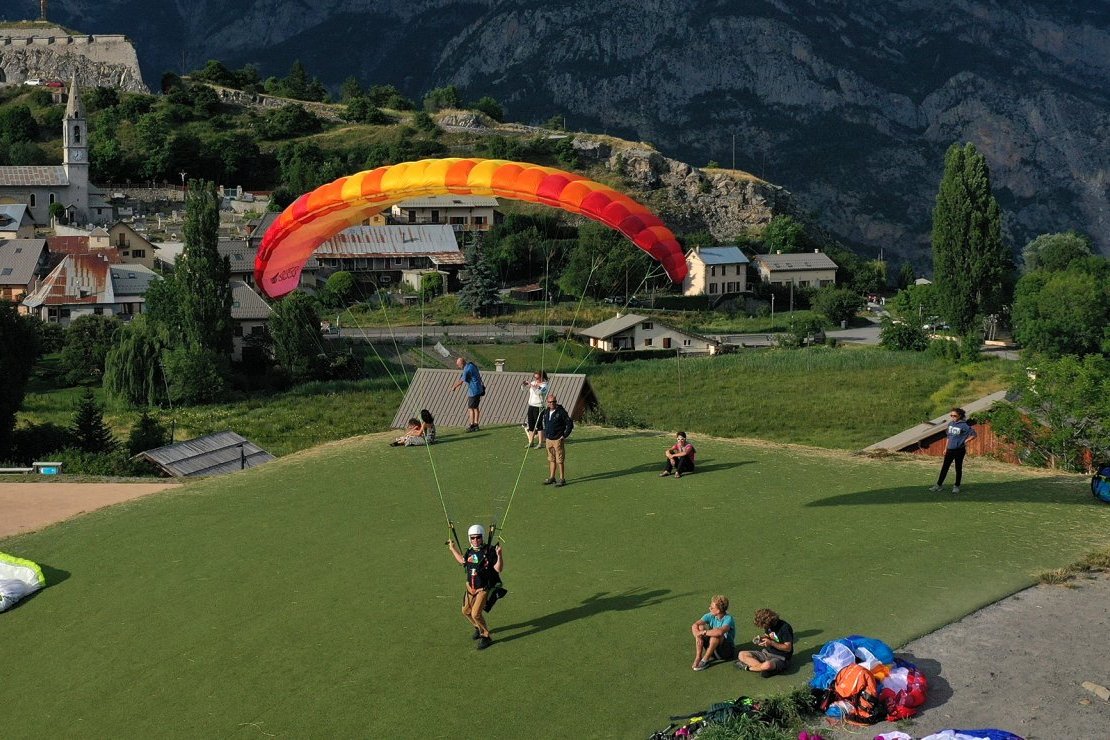 BGD Seed Paraglider Review &amp;amp; Seed Probiotic Customer Insights