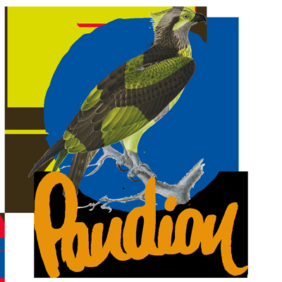 Pandion Paraglider: Trusted EN-B Wing and Diverse Brand Reviews